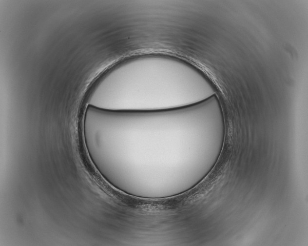 X0000113160535200909040955