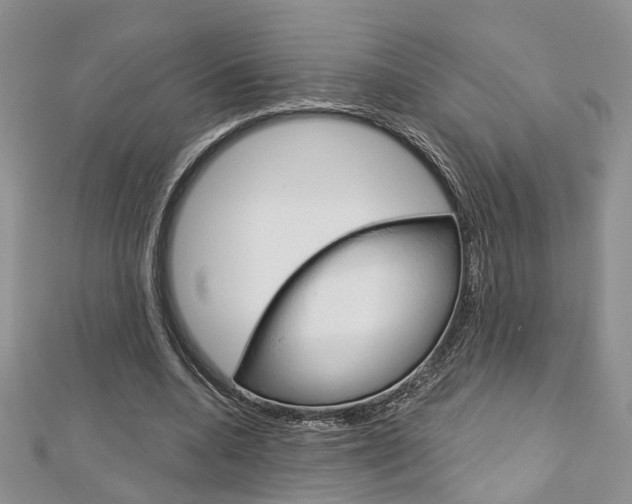 X0000113160536200909040955