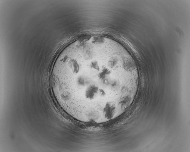 X0000113160537200909040955