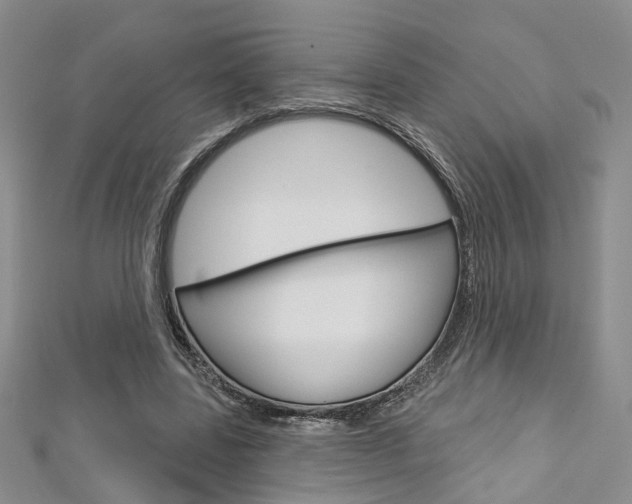 X0000113160539200909040955