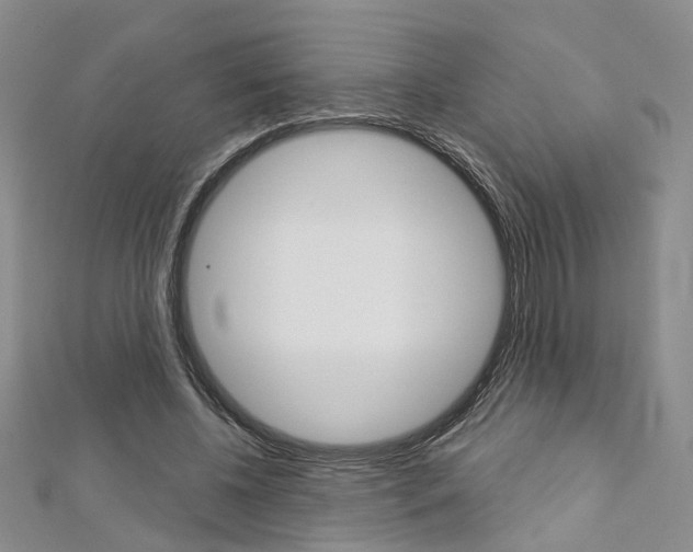 X0000113160540200909040955