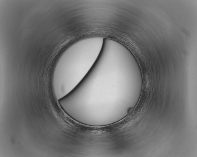 X0000113160542200909040955