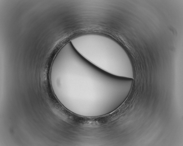 X0000113160543200909040955