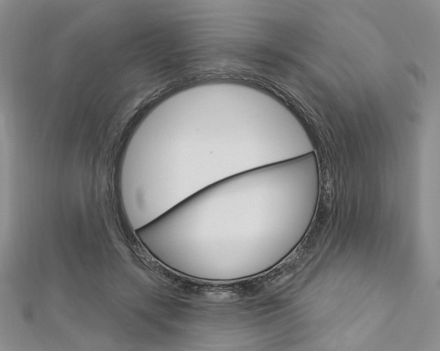 X0000113160547200909040955