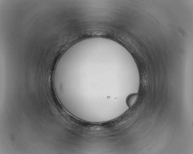 X0000113160551200909040955