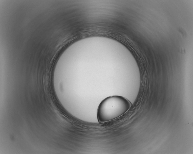 X0000113160552200909040955