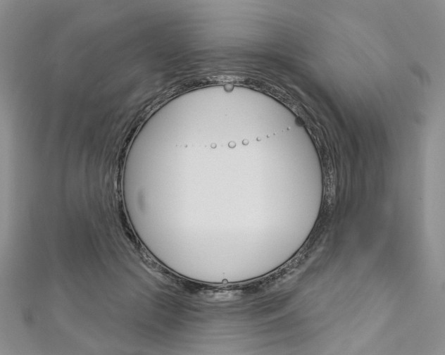 X0000113160553200909040955