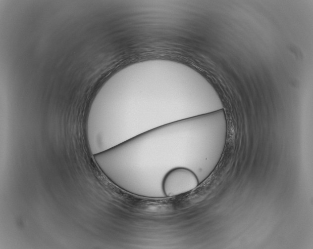 X0000113160555200909040955