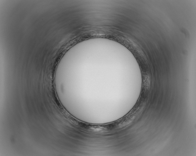X0000113160557200909040955