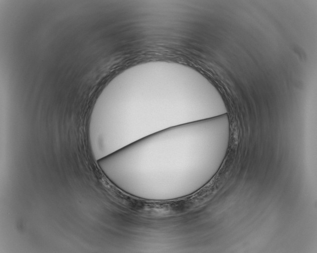 X0000113160559200909040955