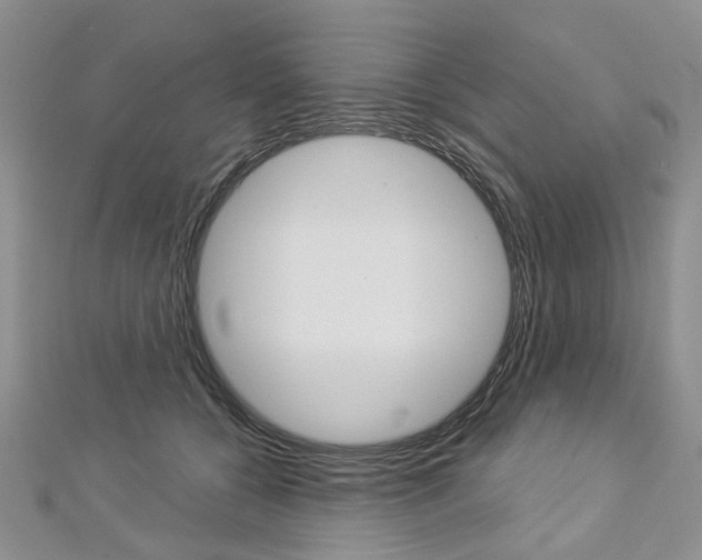 X0000113160560200909040955