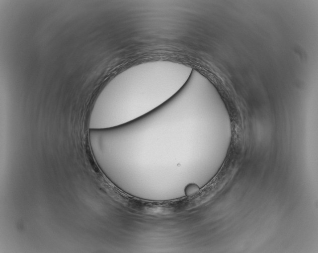 X0000113160561200909040955
