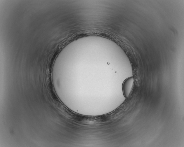 X0000113160563200909040955