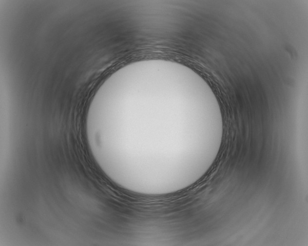 X0000113160566200909040955