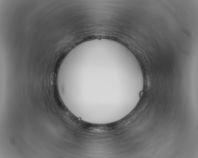X0000113160567200909040955