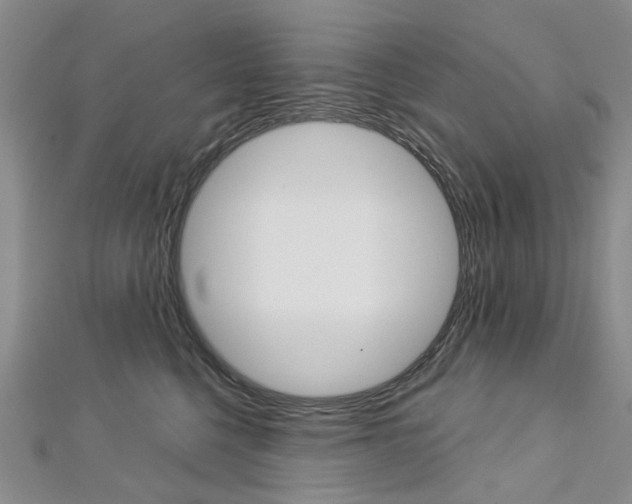 X0000113160568200909040955
