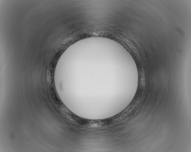 X0000113160569200909040955