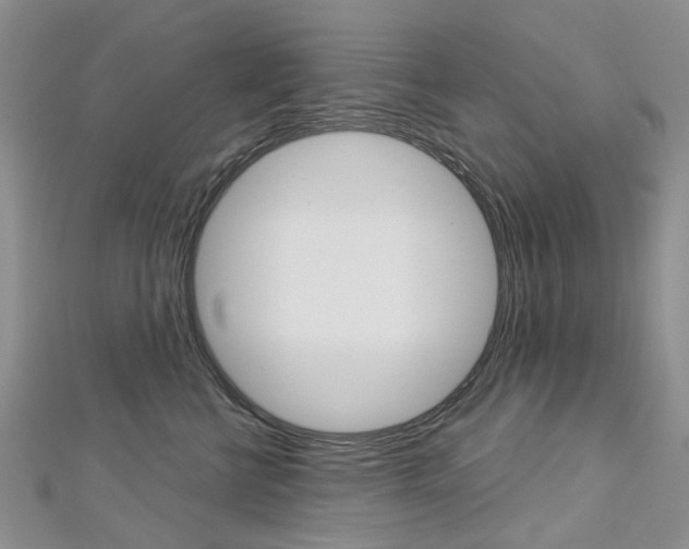 X0000113160570200909040955
