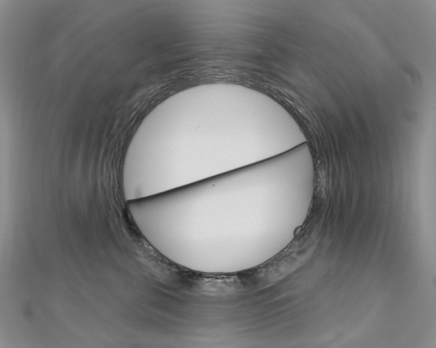 X0000113160571200909040955