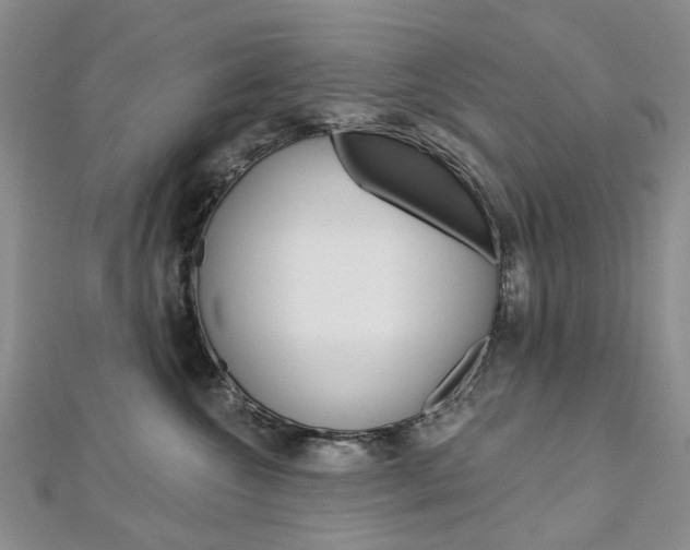 X0000113160572200909040955
