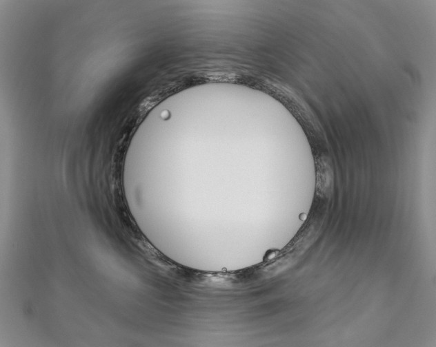 X0000113160573200909040955