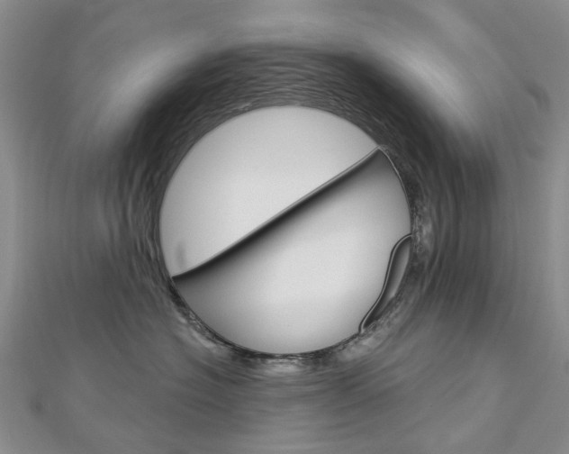 X0000113160574200909040955