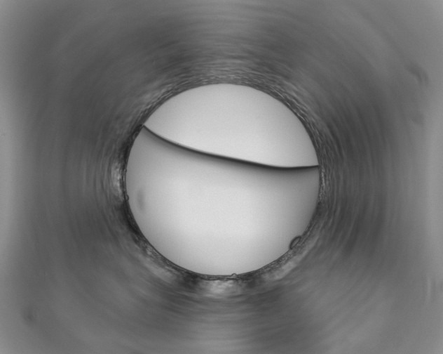 X0000113160575200909040955