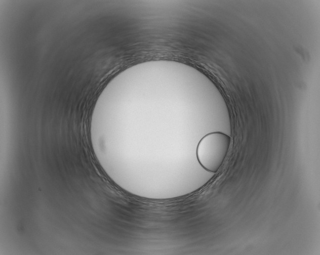 X0000113160576200909040955