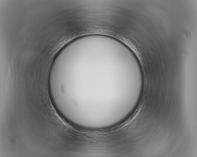 X0000113160577200909040955