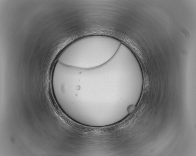 X0000113160578200909040955