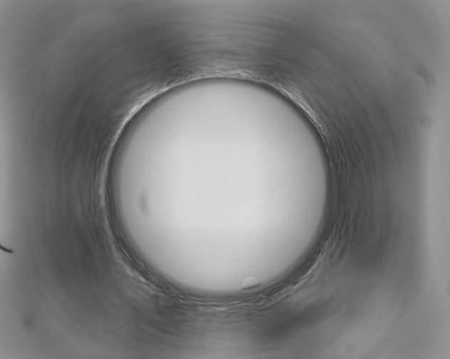 X0000113160579200909040955