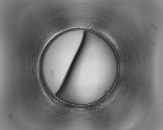 X0000113160580200909040955