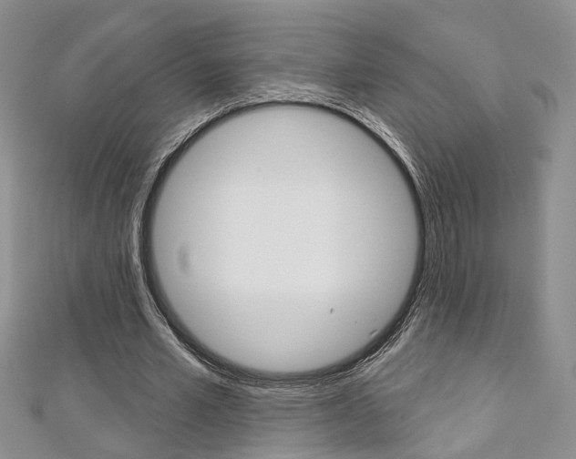 X0000113160581200909040955