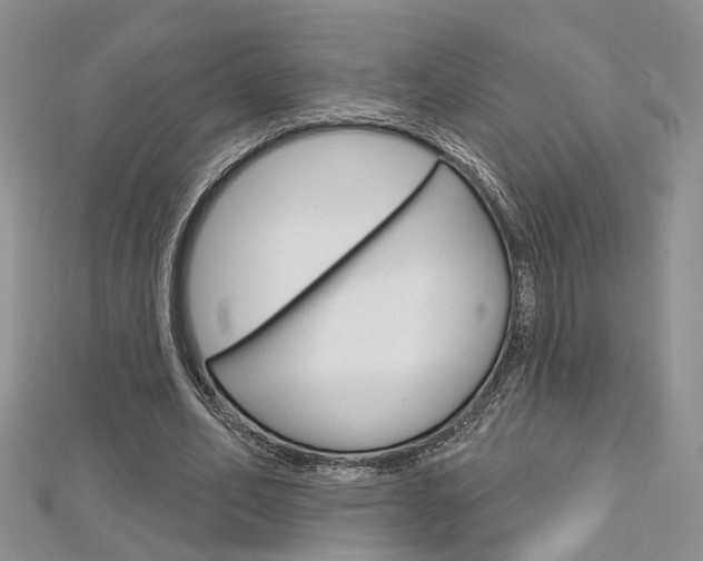X0000113160582200909040955