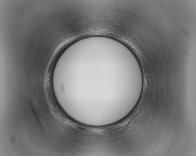 X0000113160583200909040955
