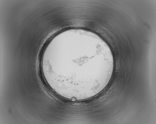 X0000113160584200909040955