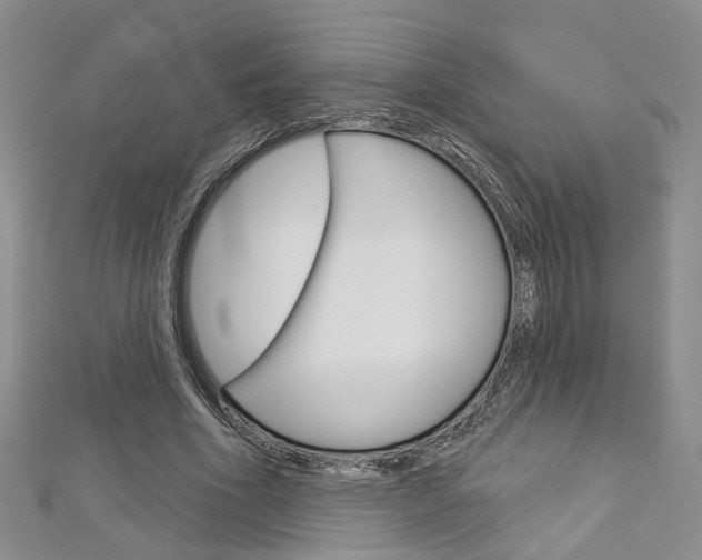 X0000113160586200909040954
