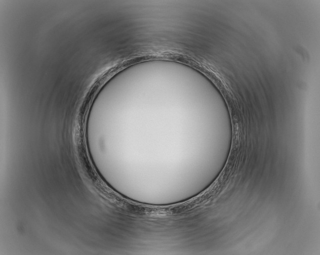 X0000113160587200909040954
