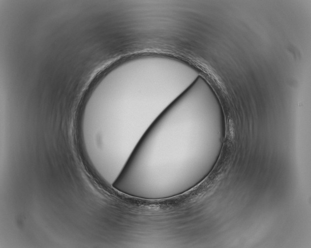 X0000113160588200909040954