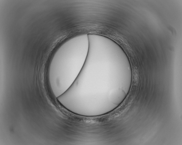 X0000113160590200909040954
