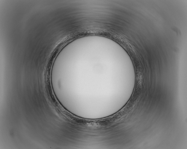 X0000113160591200909040954