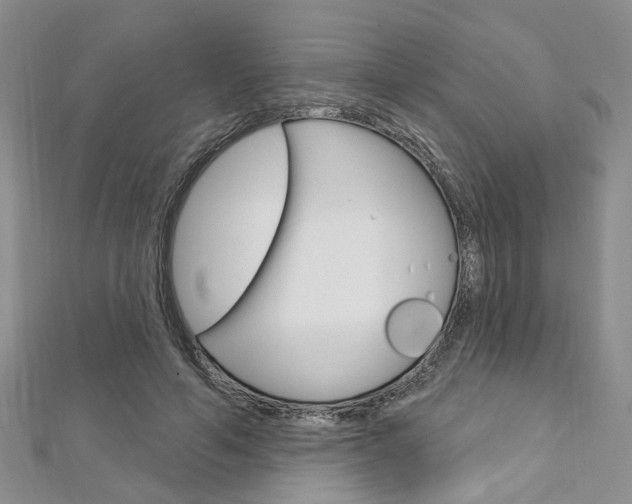 X0000113160594200909040954