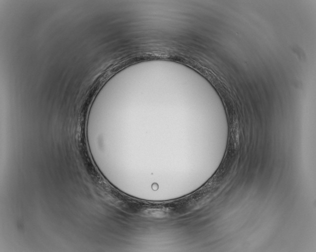 X0000113160595200909040954