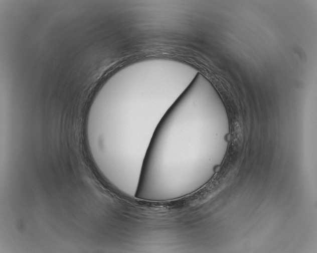 X0000113160600200909040954