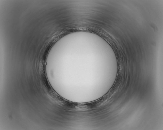 X0000113160603200909040954