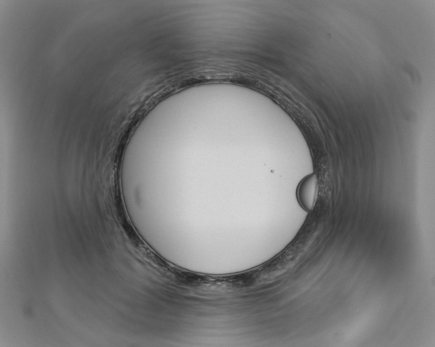 X0000113160604200909040954