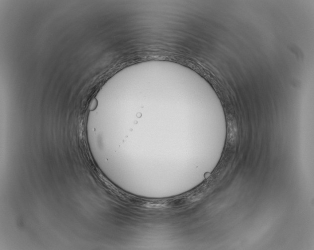 X0000113160606200909040954