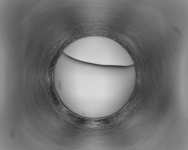 X0000113160607200909040954