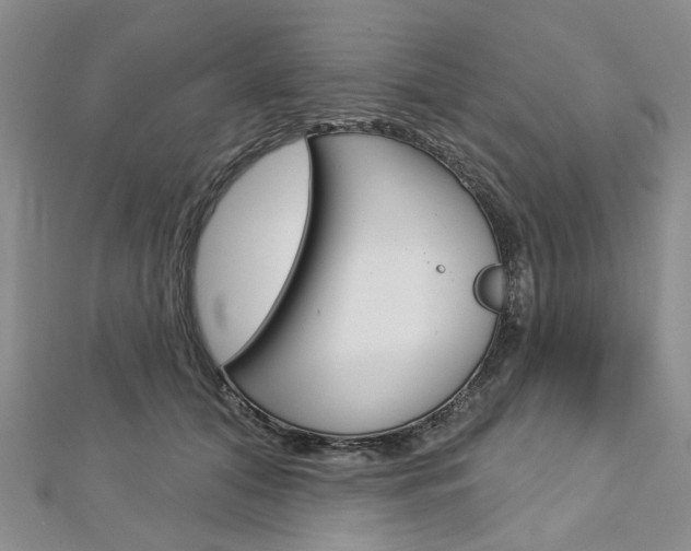 X0000113160608200909040954
