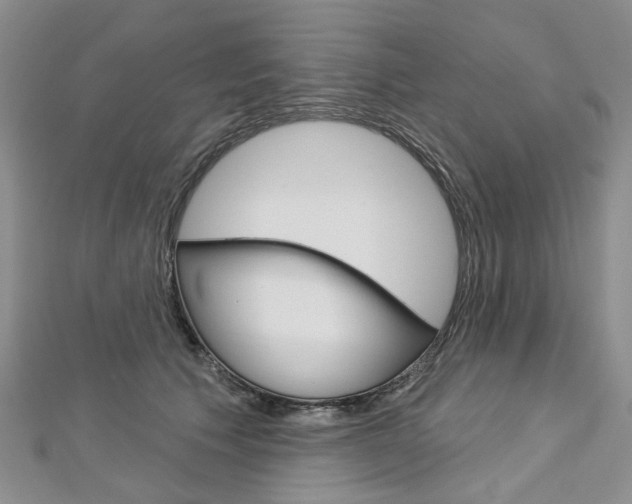 X0000113160609200909040954